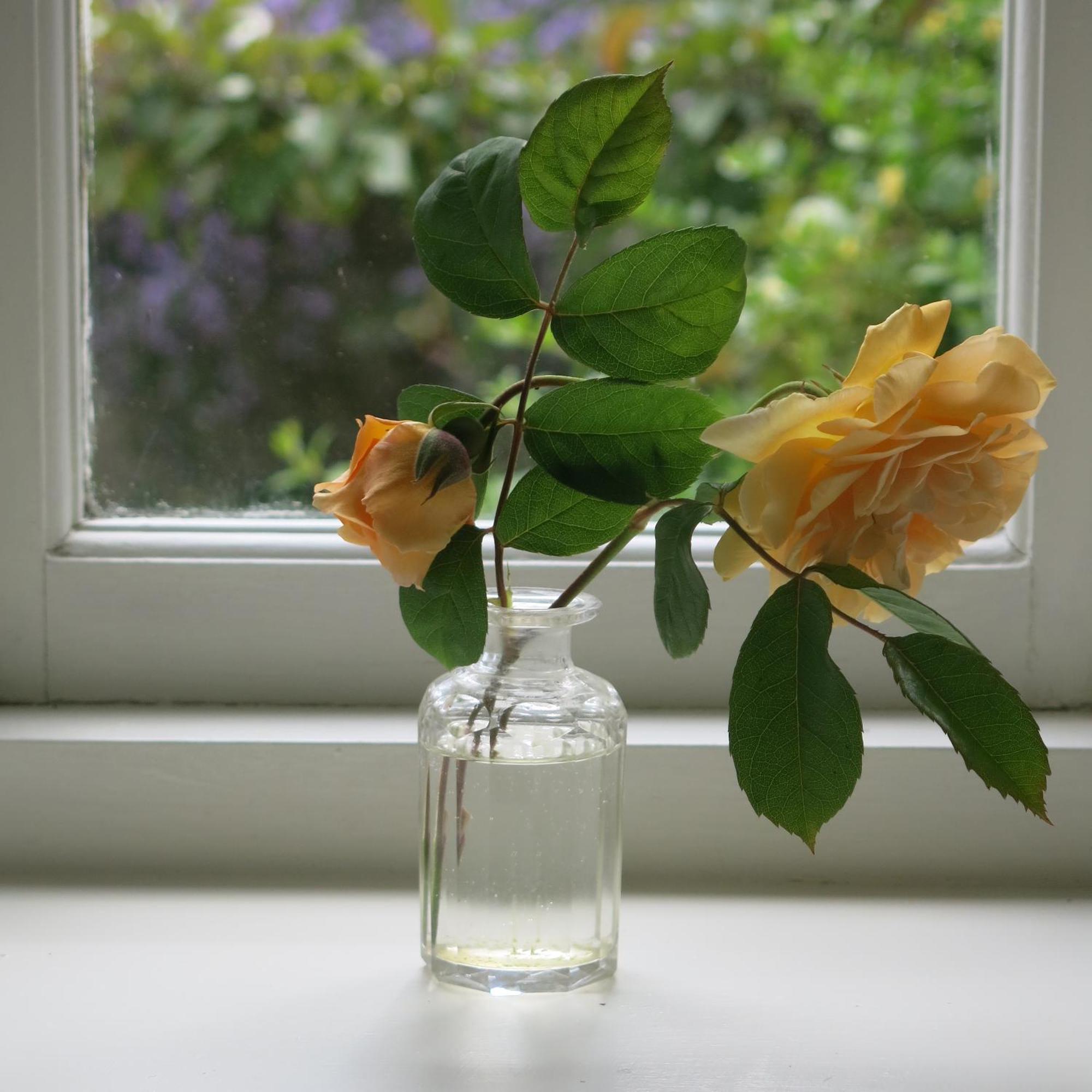 Characterful Cotswold Cottage Cirencester Extérieur photo